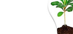 Eco produkt